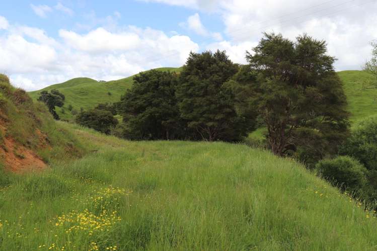 995 Waingaro Road Ngaruawahia_1