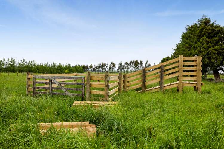 306 Upper Stuart Road Eltham_22