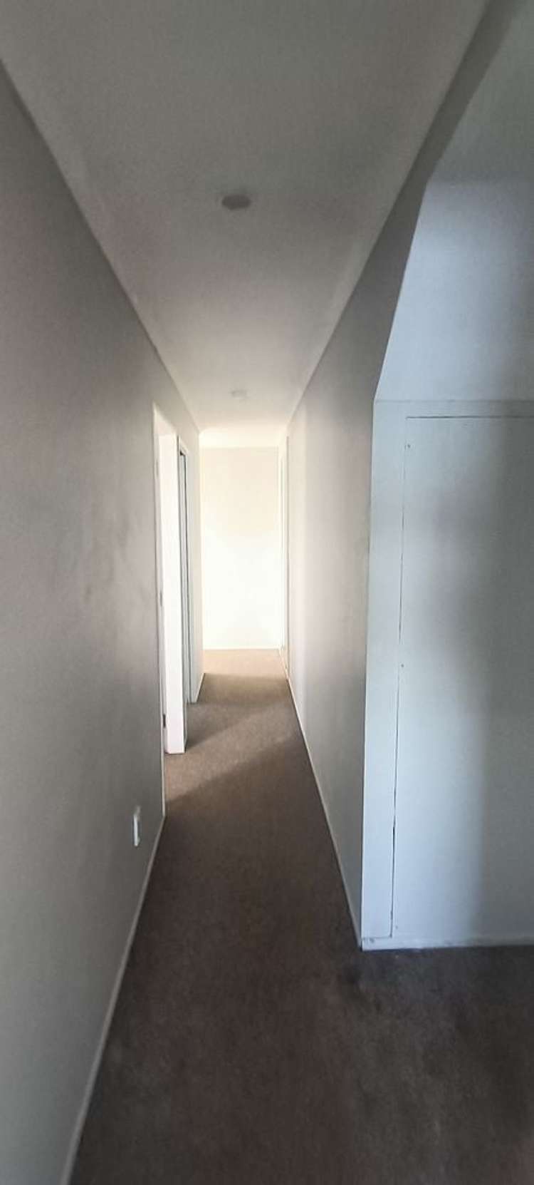 120 Nicholson Road Khandallah_15