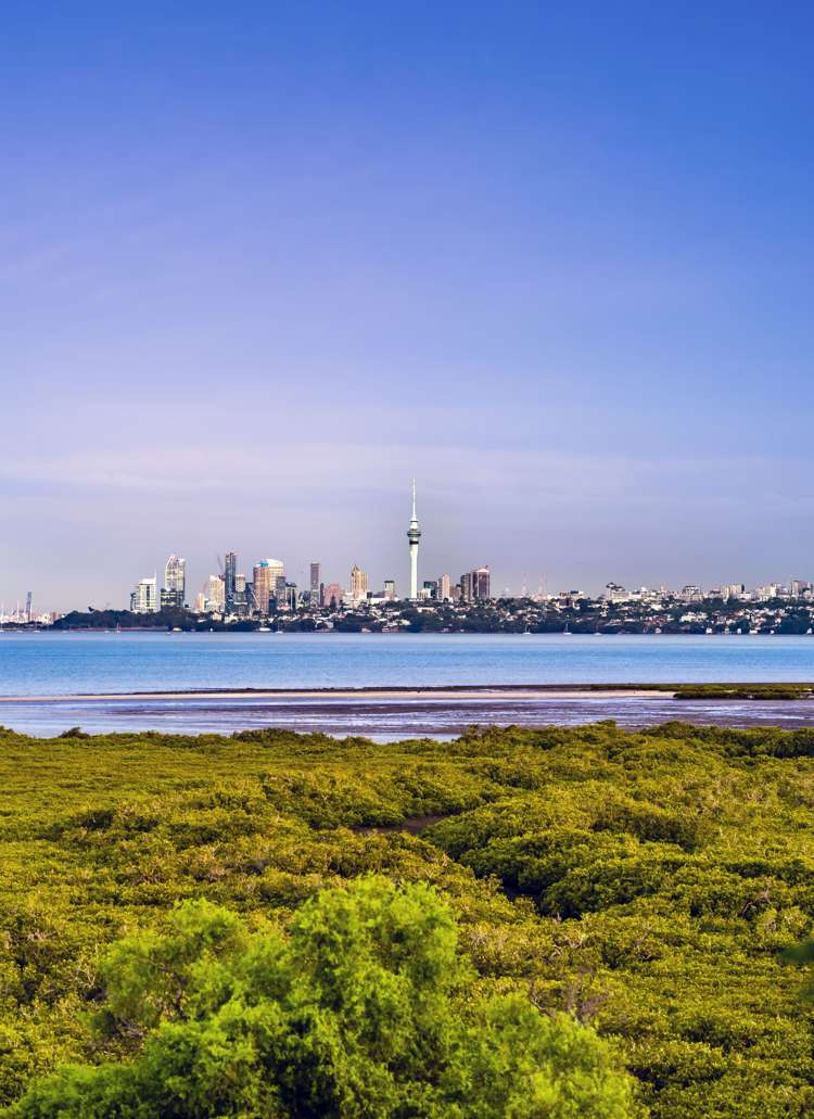 33 Dawnhaven Drive Te Atatu Peninsula_13