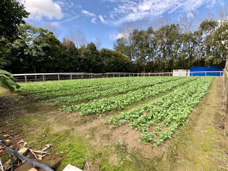 47 Parish Line Road Clevedon_15