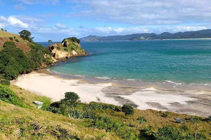 Already attracting interest, the Gray Family Farm on Great Barrier Island is up for grabs. Photo / Supplied