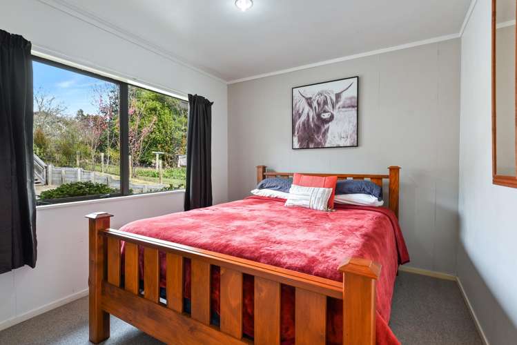 33 State Highway 30 Lake Rotoma_16