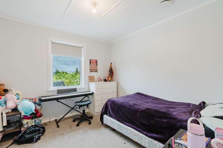 19 Trapski Drive Otorohanga_9