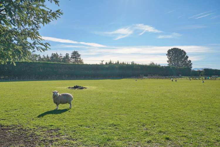 1122 Poyntzs Road West Eyreton_36