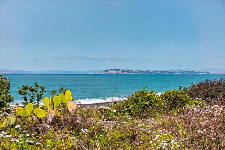 286 Whirinaki Road Bay View_12