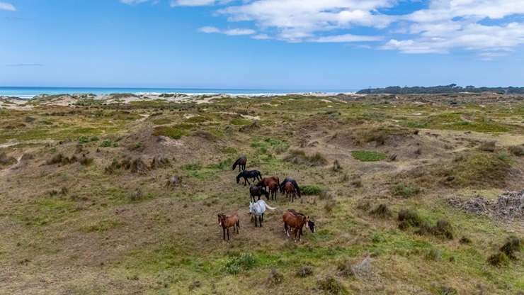 Almost 90 acres at 90 Mile Beach are up for grabs at Lots 1-3 Hukatere Road, Far North. Photo / Supplied