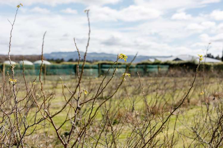 36 Hogbin Road Te Teko_29