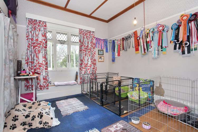 76 Wings Line Marton_15