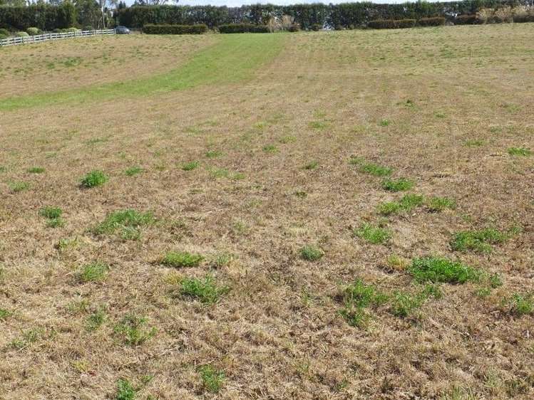 294 Parsons Road Weston_6