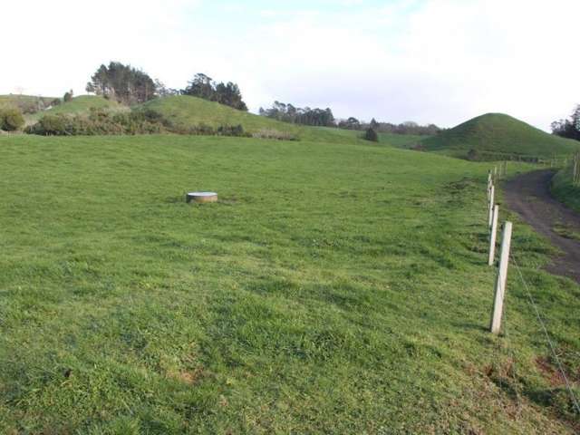 Tarata Road Inglewood_2