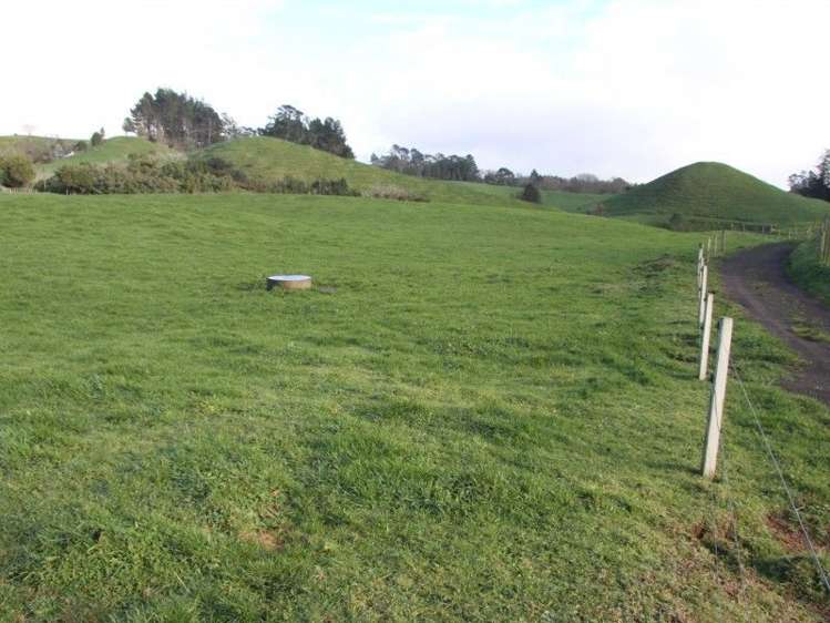 Tarata Road Inglewood_2