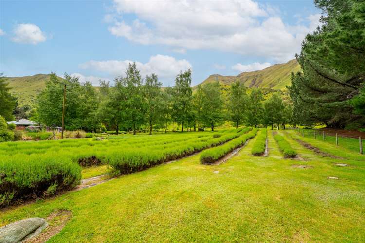 1473 Danseys Pass Road North Otago Surrounds_32