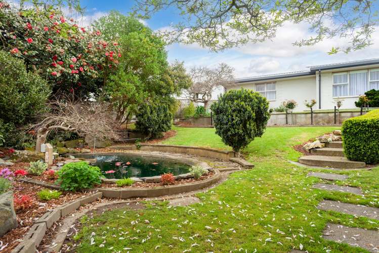 115 Gunn Road Matamata_22