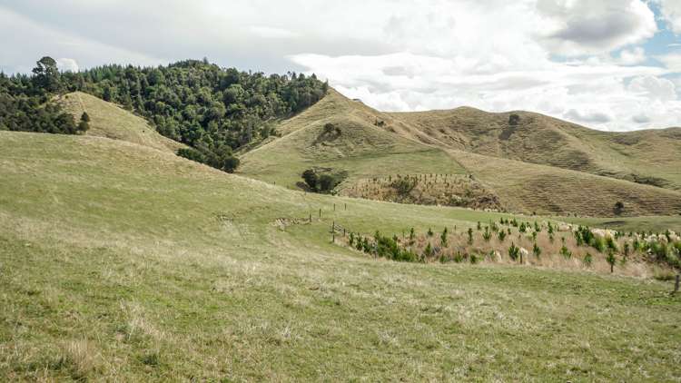 2586 State Highway 2 Maramarua_18