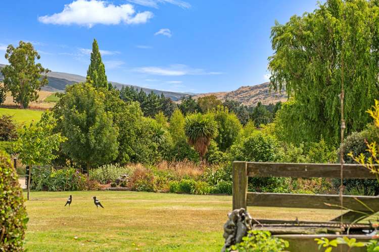 209 Ettrick Road Ettrick_1