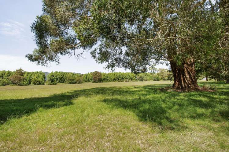 25 Norfolk Street Belmont_15