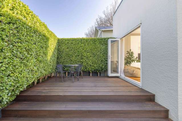 43 Old Mill Road Grey Lynn_4