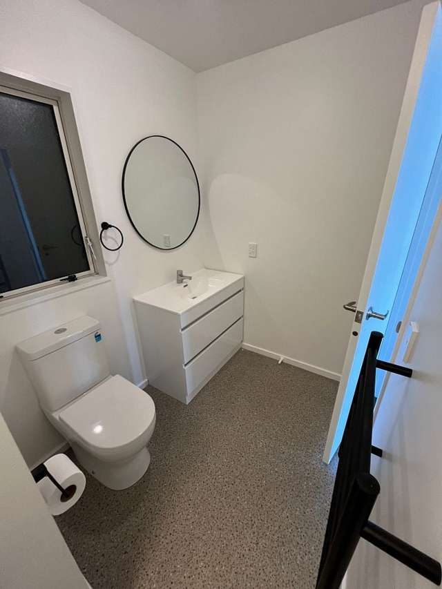 46A Wynyard Crescent Fernhill_3