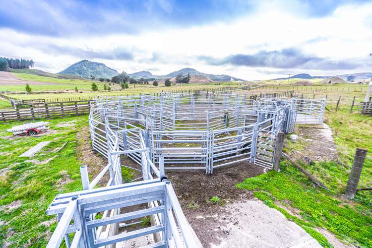 313 Te Wera Road Matawai_11