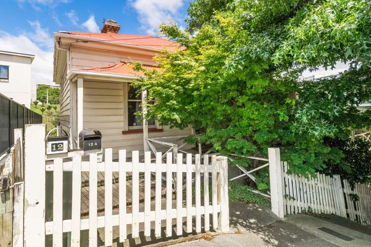 12 Fleet Street Eden Terrace_3