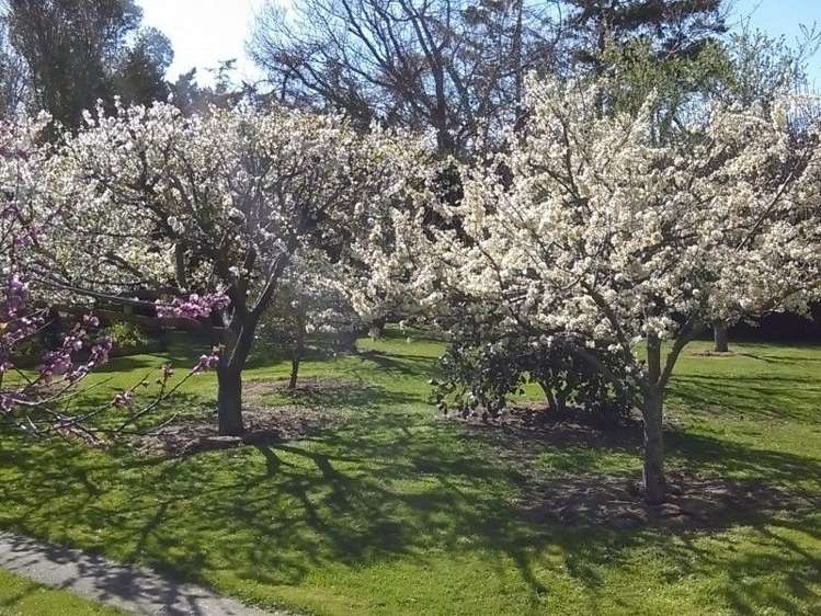 47 Waituna School Road Waimate_8