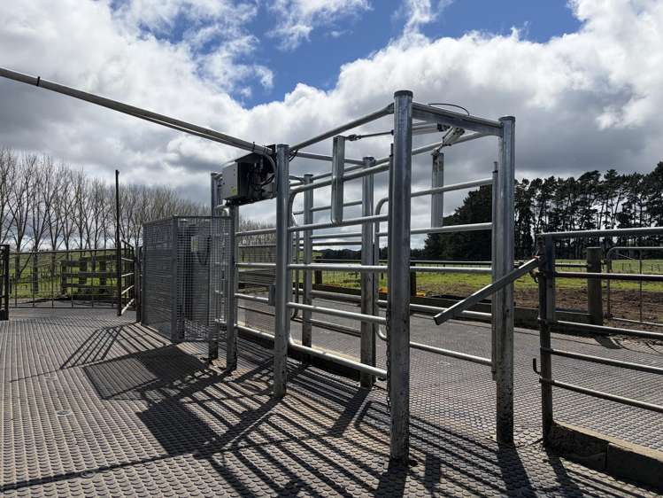 374 Rakauwahia Road Kaikohe_3
