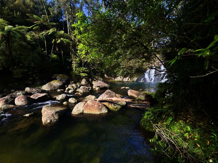 717 Wright Road Aongatete_3