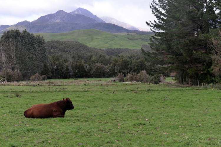 915 Aorere Valley Road Kahurangi National Park_22
