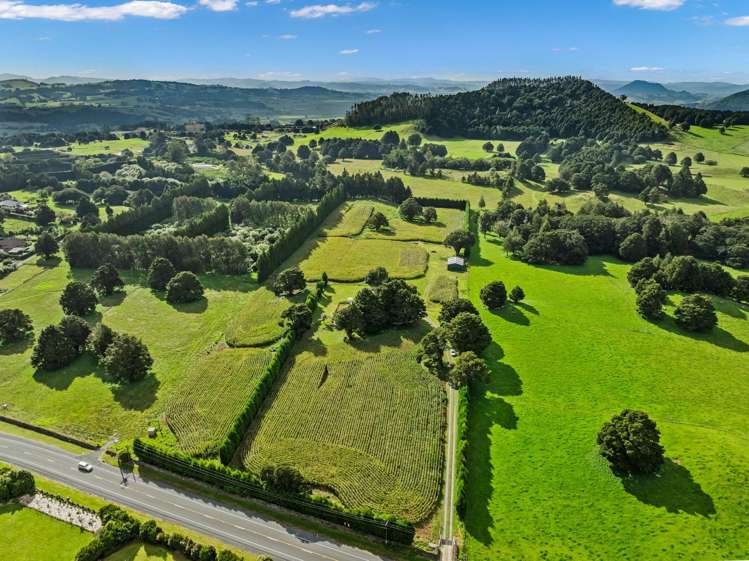 Lot 1/397 Three Mile Bush Road Te Kamo_7