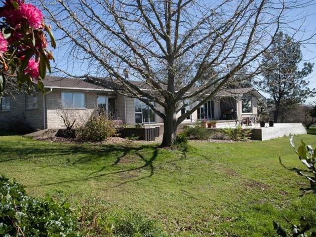 33 Dingle Road Morrinsville_1