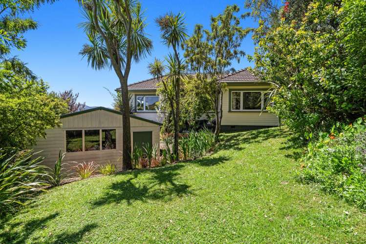 8 Thompson Terrace Toi Toi_18