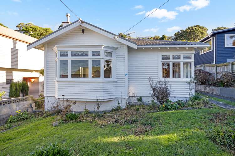 14 Mccoll Street Vogeltown_18