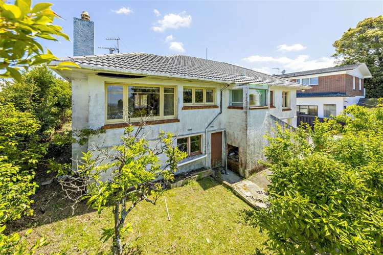 254 Saint Heliers Bay Road Saint Heliers_9