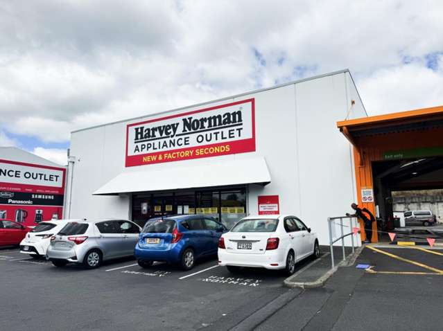 111-141 Apirana Avenue Glen Innes_2