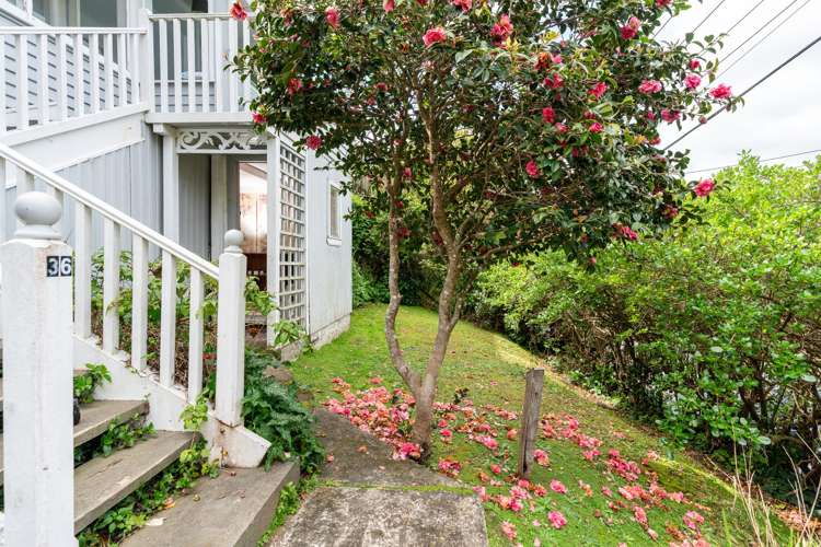 36 Tavistock Road Melrose_13