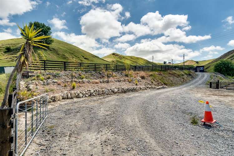 146 Springfield Road Taradale_2