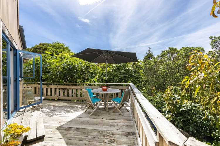 233a Omata Road Spotswood_5