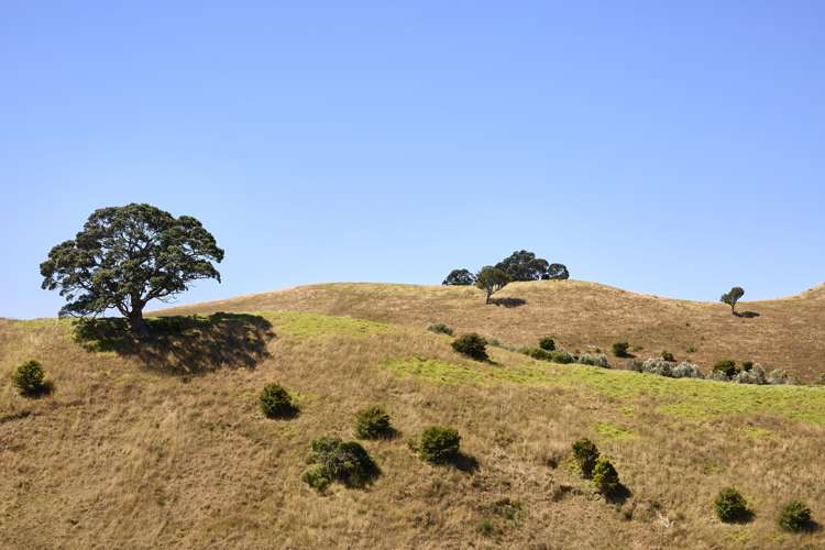 10 Tamihana Road Ostend_5