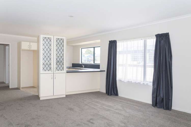 20a Denmark Street Dannevirke_4