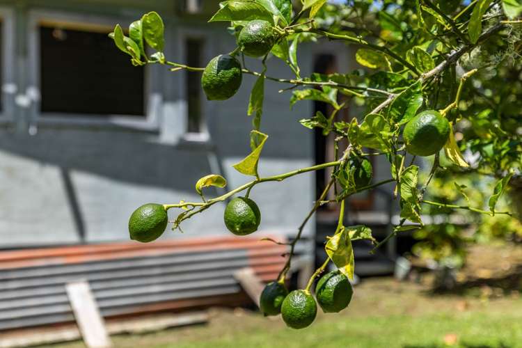 10 Oruawharo Road Topuni_42