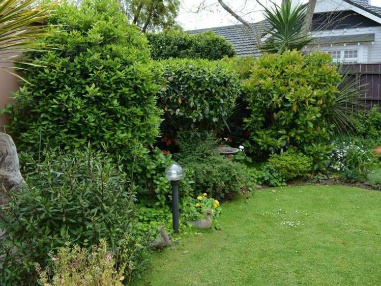 7b Coronation Road Morrinsville_11