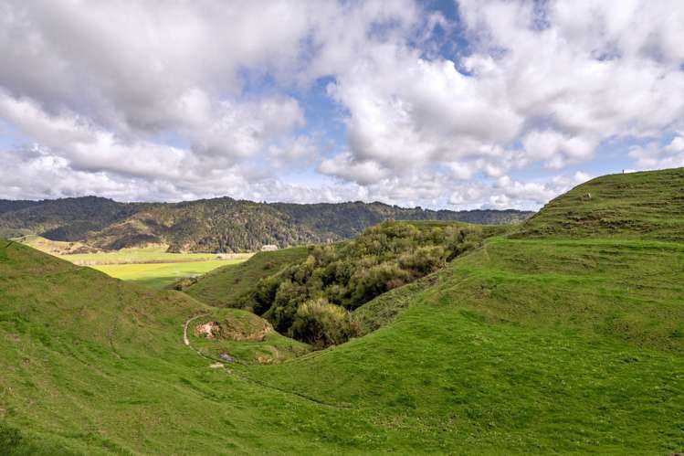 169 Addison Road Waimana_13