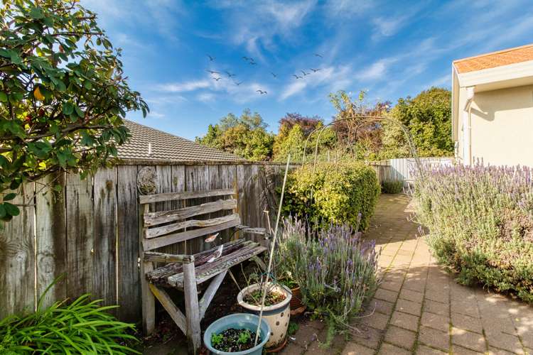 42/3 Campbell Street Havelock North_22