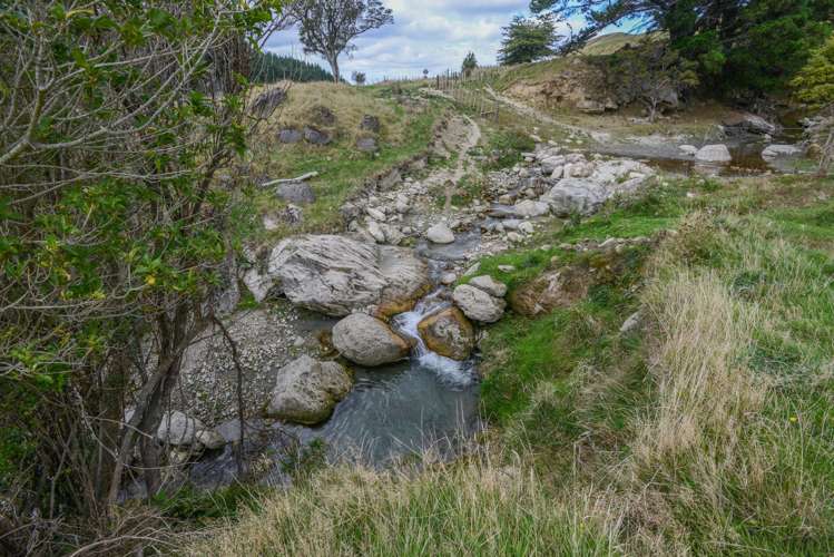 989 Ohurakura Rd Te Pohue_7