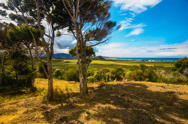 52h Kaitoke Lane Great Barrier Island (Aotea Island)_1