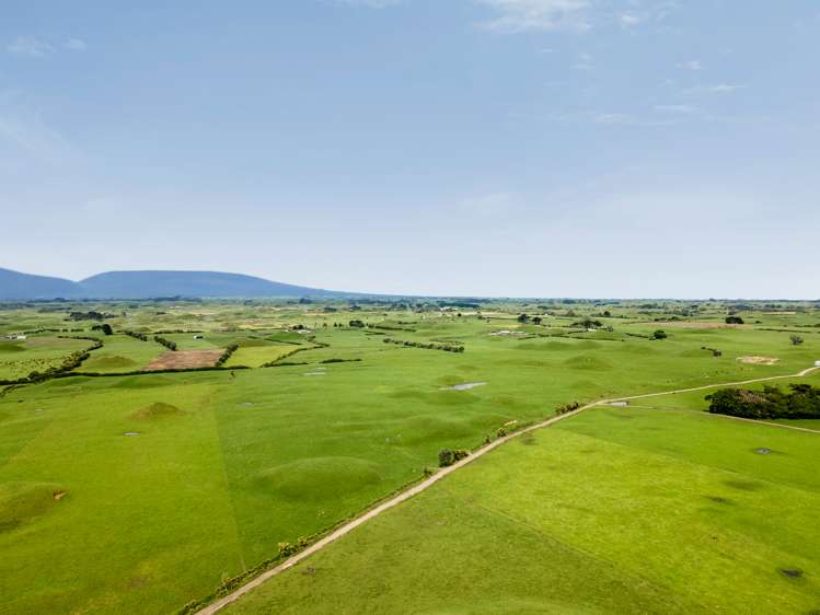 266 Pungarehu Road Pungarehu_8