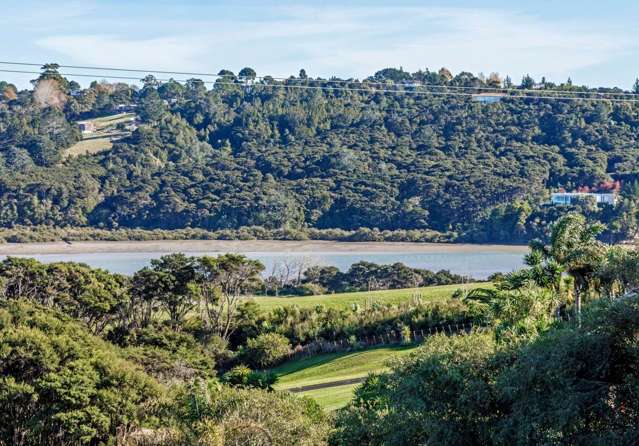 142A Kittiwake Drive Albany_4