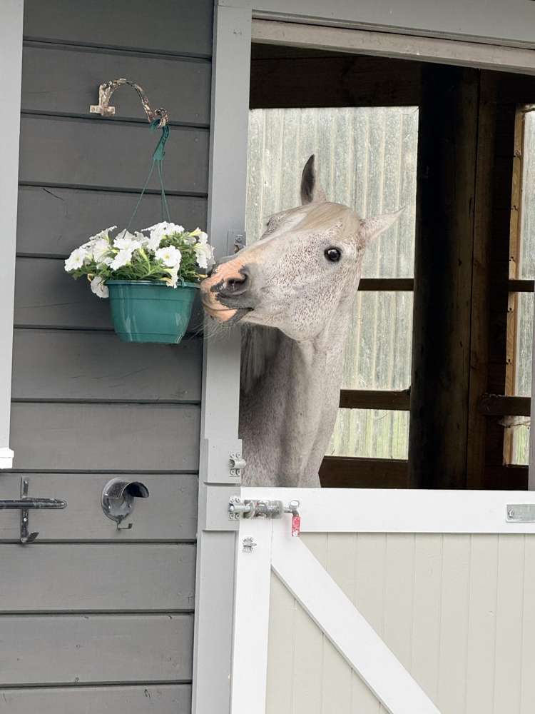 28 Arcus Road Te Horo_42