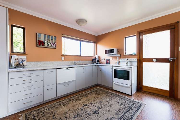 16 Elliot Street Andersons Bay_6